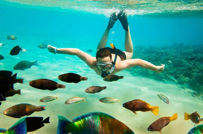 Cabo San Lucas Shopping, Tequila Tasting, and Snorkel Tour - Snorkeling at Santa Maria or Chileno Bay