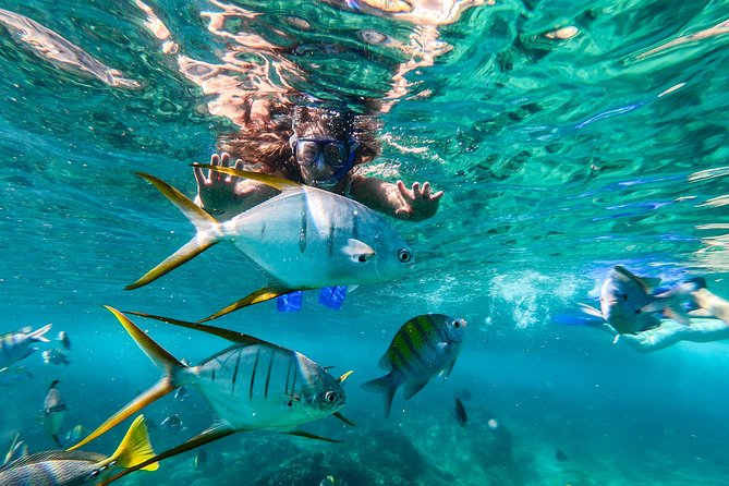 Cabo San Lucas Shopping, Tequila Tasting, and Snorkel Tour - Hotel pickup and the shared minivan ride