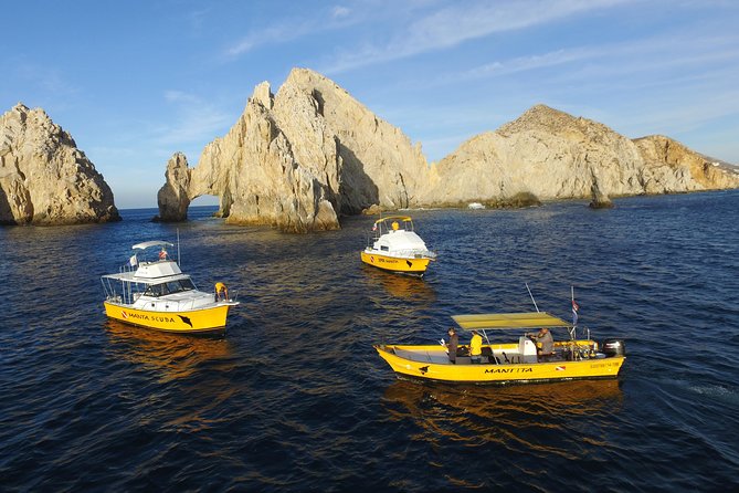 Cabo San Lucas Short Snorkeling Tour with Divemaster Guide - What you see under the water