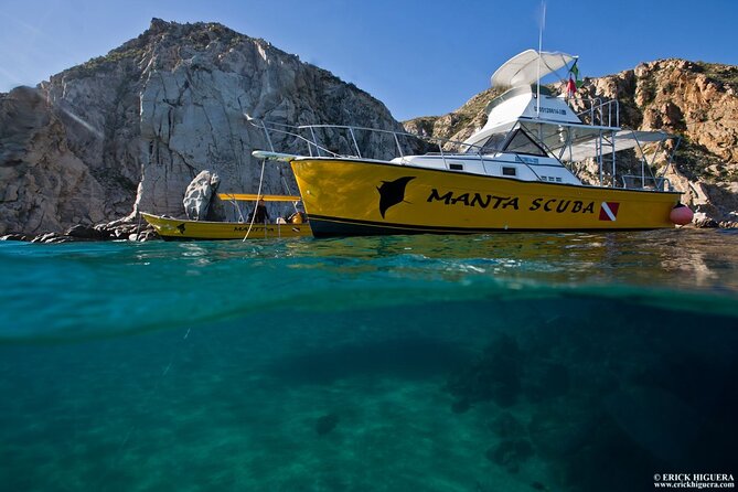 Cabo San Lucas Short Snorkeling Tour with Divemaster Guide - Why the $70 price can make sense