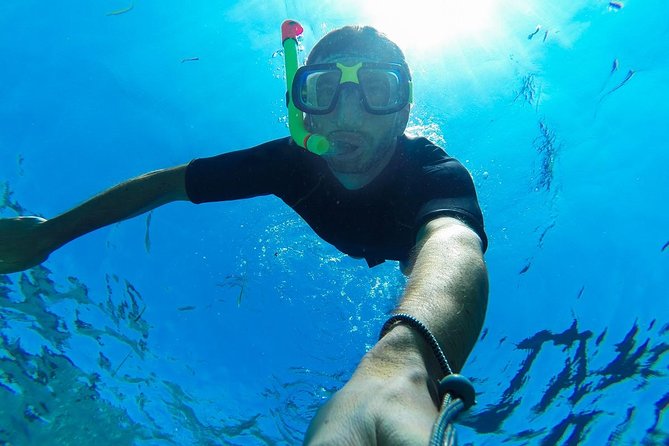 Cabo San Lucas Short Snorkeling Tour with Divemaster Guide - Boat ride to the protected snorkeling area