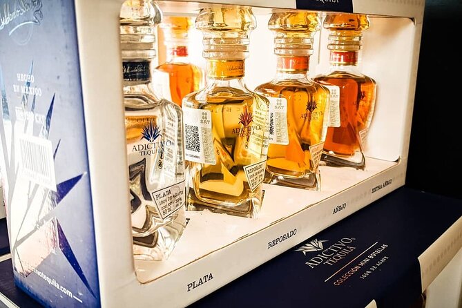 Cabo San Lucas Tequila Tasting Experience - Why the private format is worth paying for