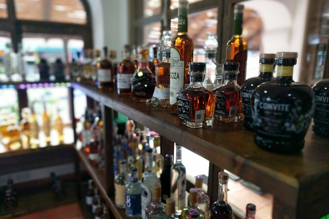 Cabo San Lucas Tequila Tasting Experience - A 90-minute plan that fits neatly into Cabo