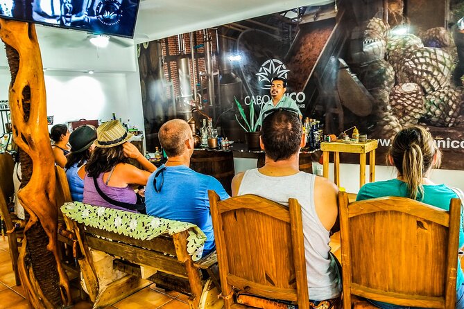 Cabo San Lucas Tequila Tasting Experience - The opening lesson: tequila begins with agave