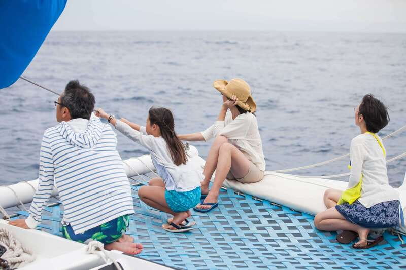 Cabo San Lucas: Whale Watching Catamaran Experience - What the $101 price really covers