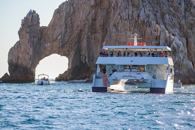 Cabo San Lucas Whale Watching Lunch Cruise - Accessibility and comfort details that matter