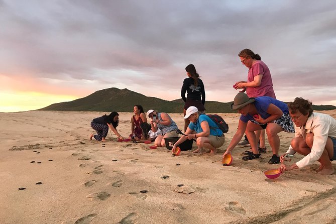 Cabo Turtle Release - Sunset on a quiet Pacific beach
