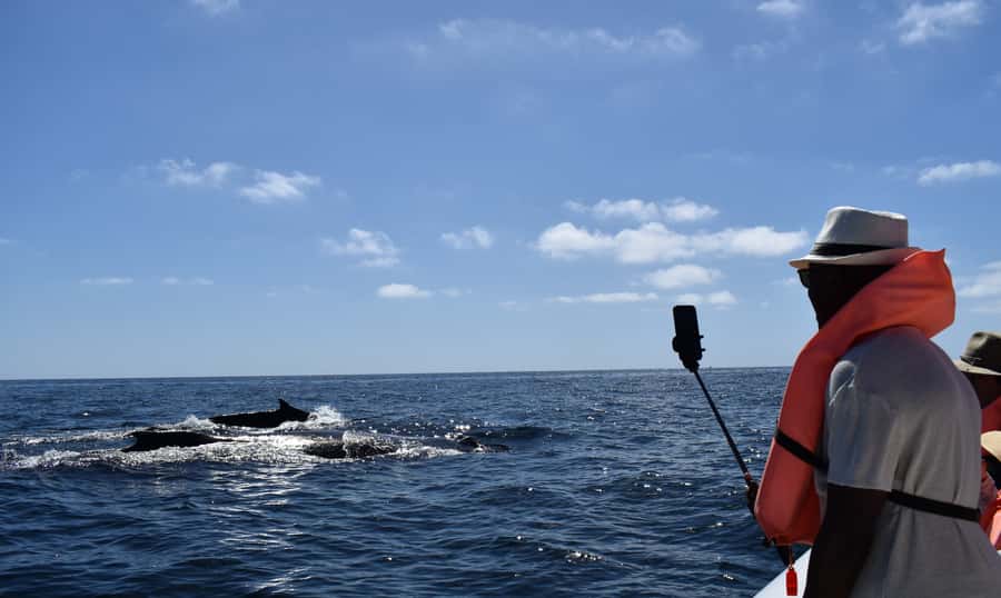 Cabo: Whale-Whatching Boat Trip w/ All-Women Crew and Photos - Morning conditions, clothing, and comfort
