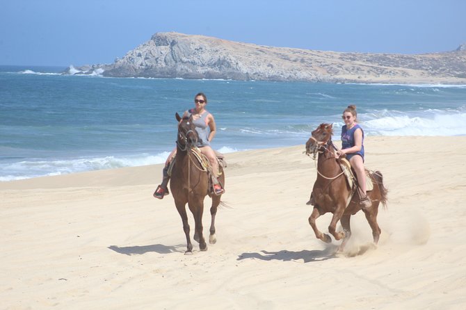 Cabo White Sand Horseback Riding Tour and Tequila Tasting - Key things to know before you saddle up