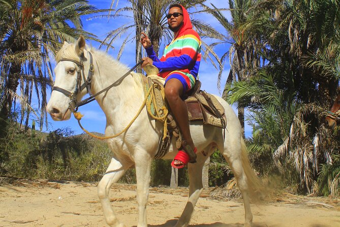 Cabo White Sand Horseback Riding Tour and Tequila Tasting - The real cost of a $85 excursion