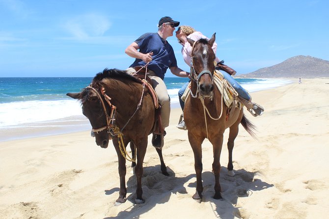 Cabo White Sand Horseback Riding Tour and Tequila Tasting - Meeting your horse and getting comfortable