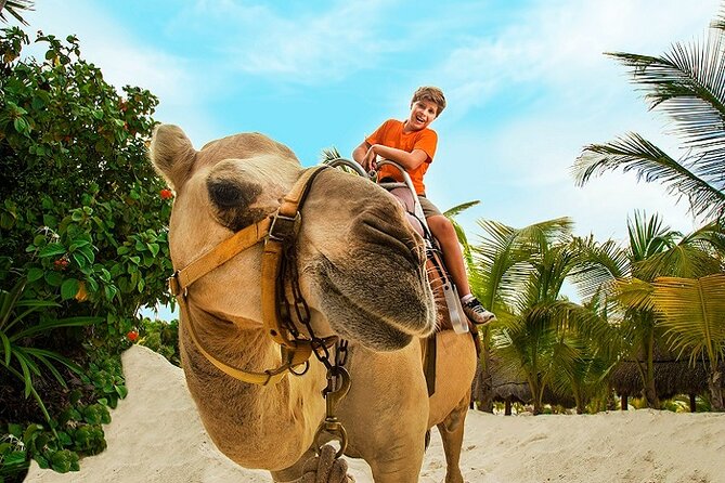 Camel Expedition and Beach Club In Riviera Maya - Through the jungle and white-sand dunes
