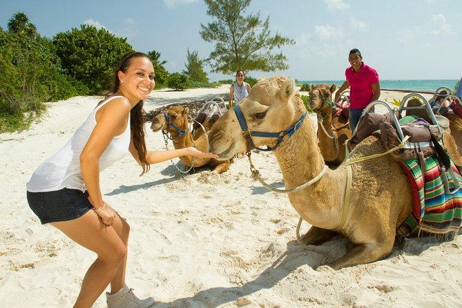 Camel Expedition and Beach Club In Riviera Maya - Photos, phones, and surprise expenses
