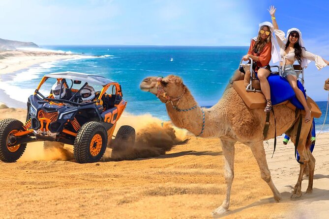 Camel Ride and UTV Combo Adventure, with Tequila Tasting - Five things to know before you book