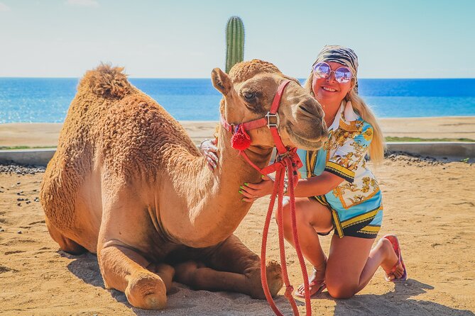 Camel Ride and UTV Combo Adventure, with Tequila Tasting - Photos, phones, and private-tour upgrades