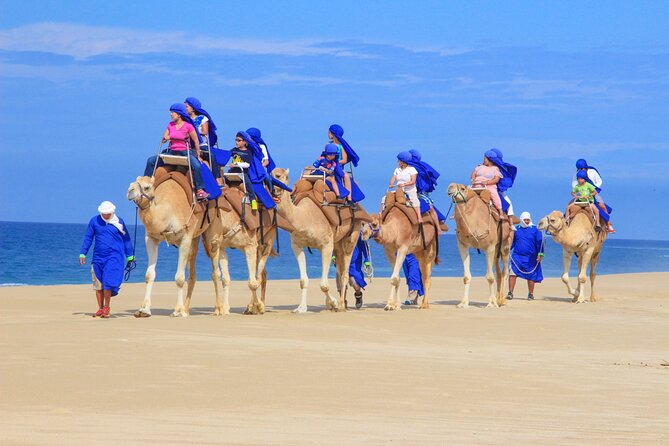 Camel Ride and UTV Combo Adventure, with Tequila Tasting - Who will enjoy this Cabo excursion most