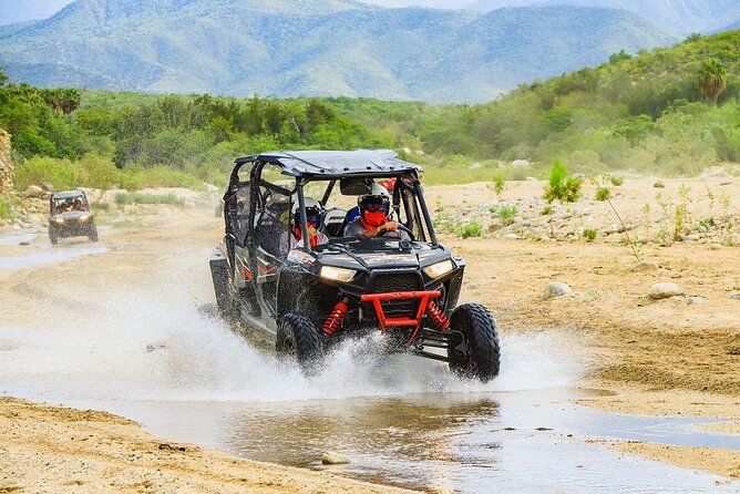 Camel Ride and UTV Combo Adventure, with Tequila Tasting - Booking advice and cancellation terms