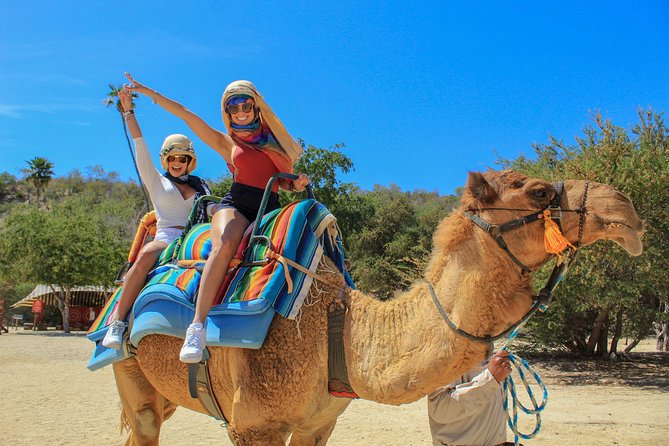 Camel Ride in the Canyon + Thrilling Water-Slides & Snacks - Key points to know before you go