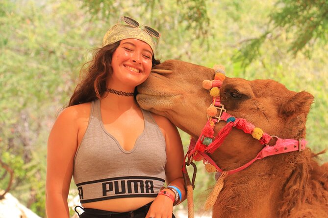 Camel Ride in the Canyon + Thrilling Water-Slides & Snacks - The rescued-animal sanctuary and Miguel’s visit