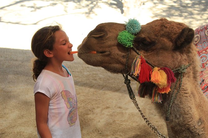 Camel Ride in the Canyon + Thrilling Water-Slides & Snacks - Water slides, pool time, and the canyon bridge