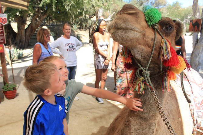 Camel Ride in the Canyon + Thrilling Water-Slides & Snacks - Quesadillas, chips, salsa, and one included drink