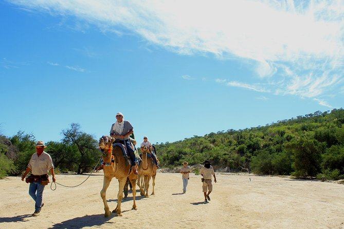 Camel Ride in the Canyon + Thrilling Water-Slides & Snacks - Transportation, lockers, and the extra costs