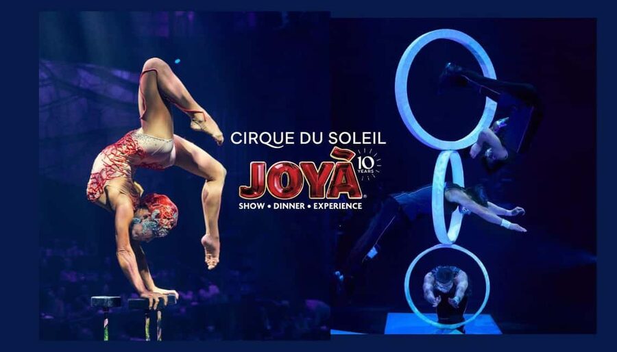 Cancún: Cirque du Soleil JOYÀ Show Ticket - Who should choose JOYÀ?