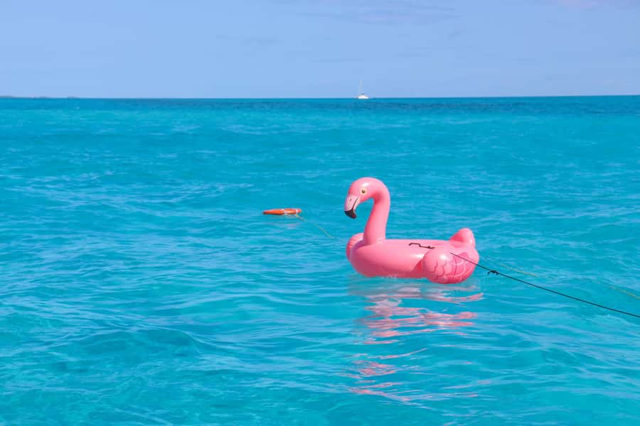 Cancun: Isla Mujeres Full Day Dancer Cruise - Meco Reef: Snorkeling, Swimming, and the Slide