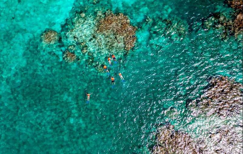 Cancun: Jungle Tour Adventure with Speedboat and Snorkeling - What this Cancun tour actually offers