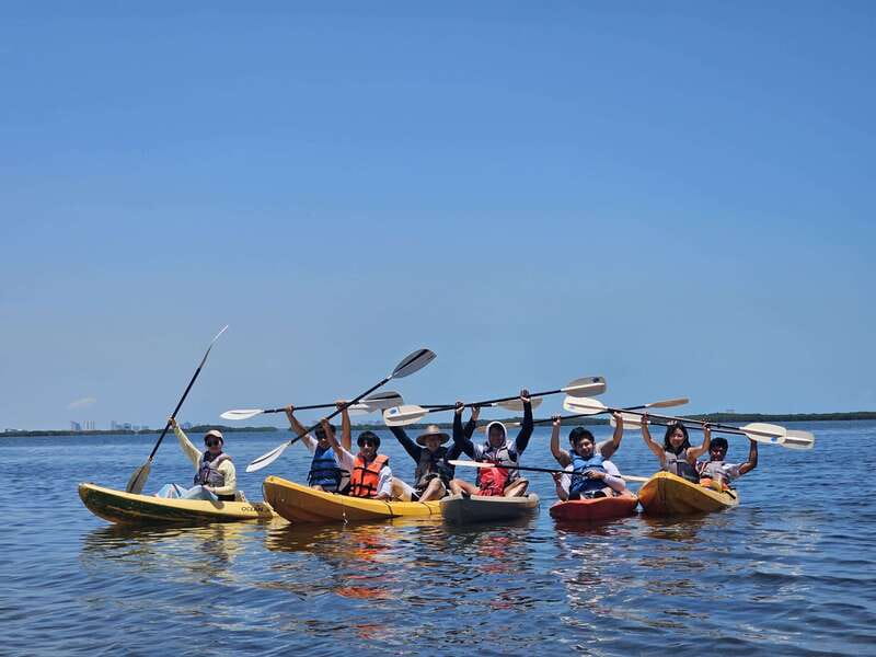 Cancun: Kayaking Tour in Nichupte Lagoon - Who should book this kayak tour