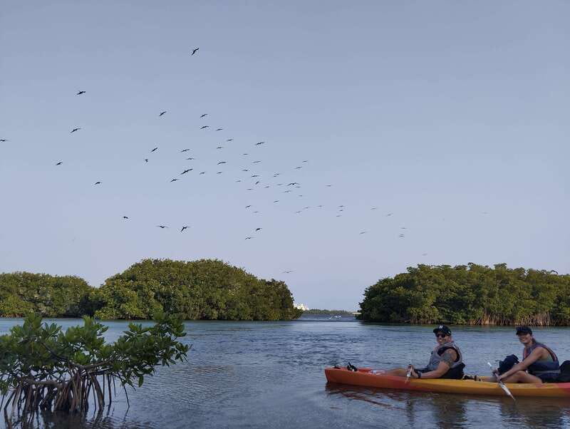 Cancun: Kayaking Tour in Nichupte Lagoon - What the $45 price includes