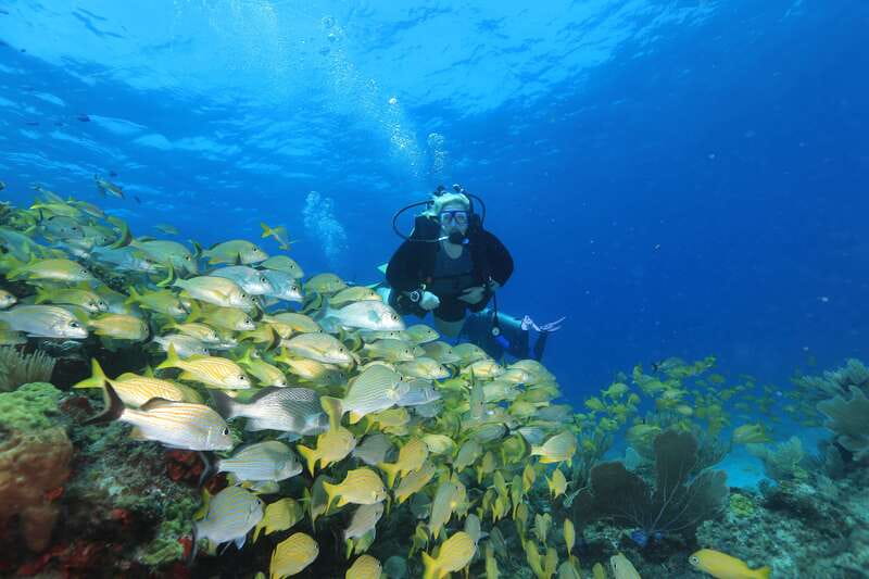 Cancun: Scuba Diving for Beginners, 2 Dives - The boat ride to Cancun’s underwater sites
