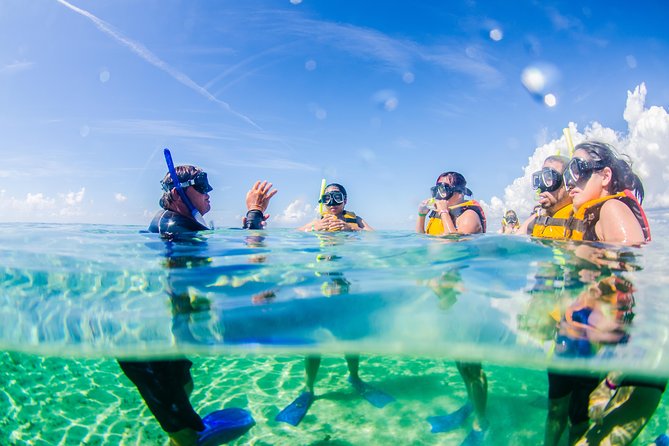Cancun speedboat and snorkel tour: shared speedboat - Why the guides matter here