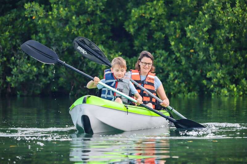 Cancun: Sunset Kayak Experience in the Mangroves - Key points to know before you book