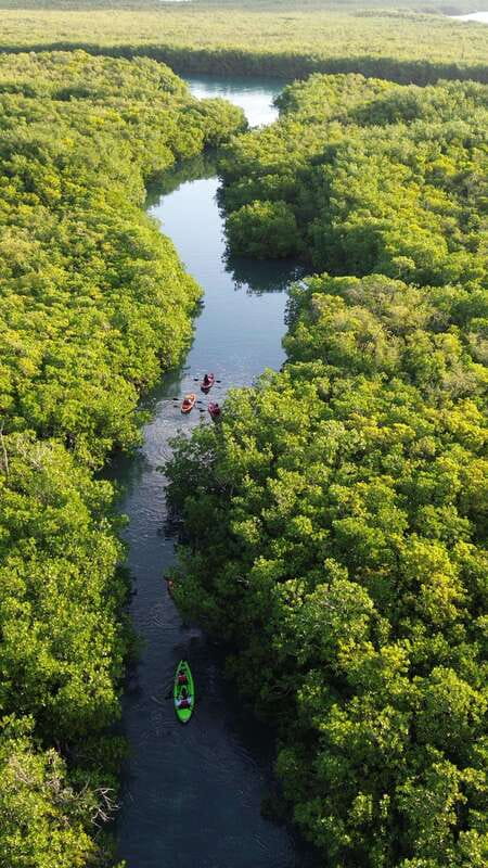 Cancun: Sunset Kayak Experience in the Mangroves - The 15-minute safety briefing for first-time kayakers