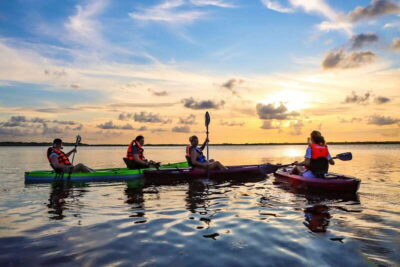 Sunset Kayak Experience in the Mangroves