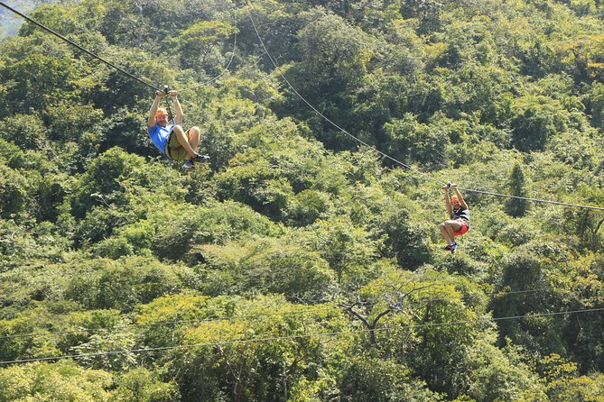 Canopy River Zipline Tour and Mule Ride - Transport, departure times, and the details that matter