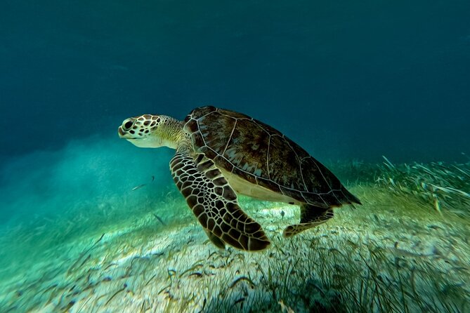 Catamaran Cruise in Riviera Maya With Snorkeling & Beach Club - Maroma Beach and the beach-club question