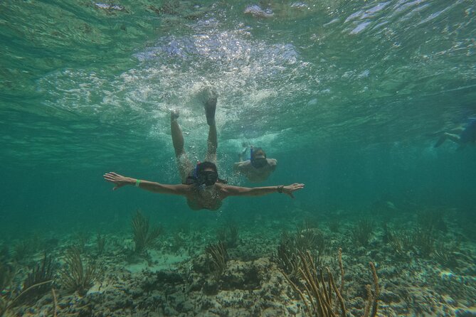 Catamaran Cruise in Riviera Maya With Snorkeling & Beach Club - What the $85 price really covers
