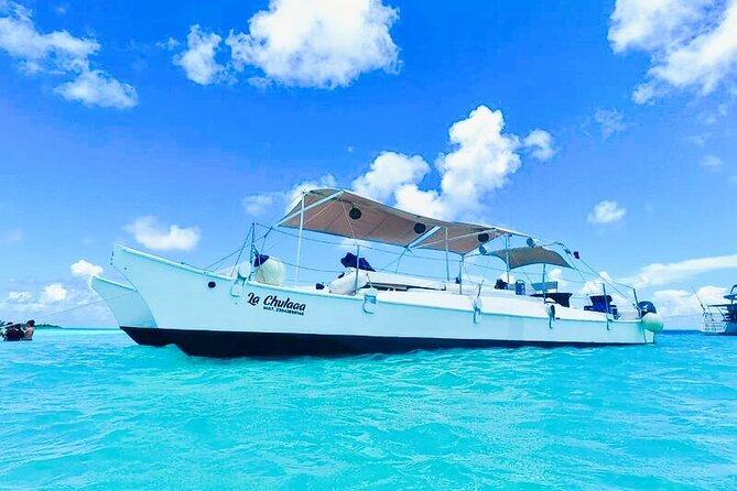Catamaran Snorkel Adventure to El Cielo and The Money Bar Beach - Palancar Reef: your first look below the surface