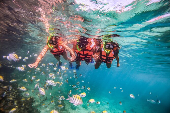CATAMARAN to Isla Mujeres, Snorkel & Beach Club by Xcaret - What this Cancun catamaran day is really like