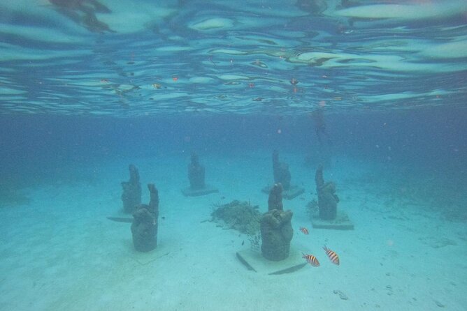 Catamaran with Snorkeling and North Beach, Isla Mujeres - What the $49 price really buys