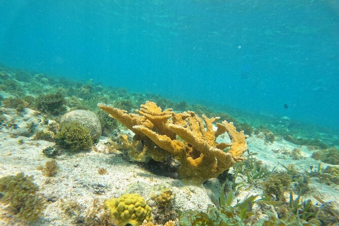 Catamaran with Snorkeling and North Beach, Isla Mujeres - Group size, comfort, and who will enjoy it