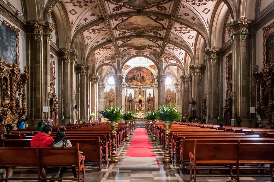 CDMX: Xochimilco, Coyoacan, Frida Kahlo Museum & Murals Tour - Who will enjoy this day most