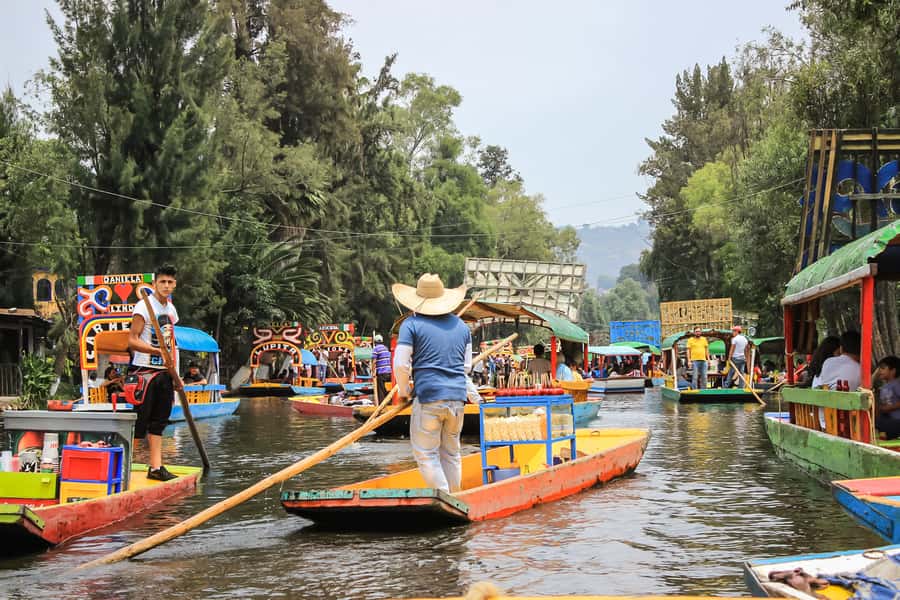 CDMX: Xochimilco, Coyoacan, Frida Kahlo Museum & Murals Tour - UNAM’s murals and monumental buildings