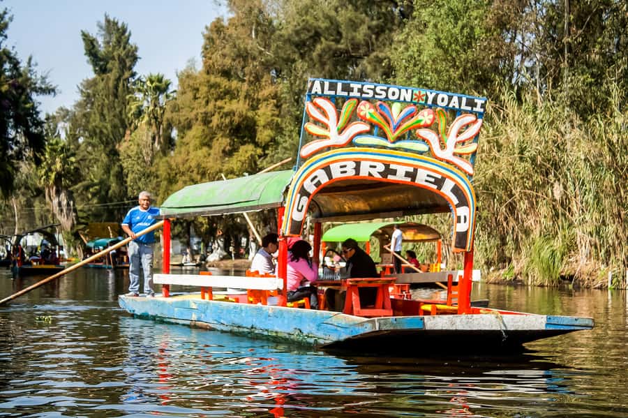 CDMX: Xochimilco, Coyoacan, Frida Kahlo Museum & Murals Tour - How the $89 price measures up