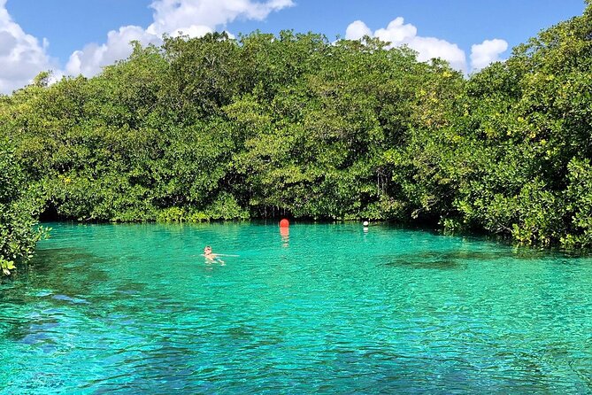 Cenote Triple Adventure Tour in Tulum - What the guide adds to the morning