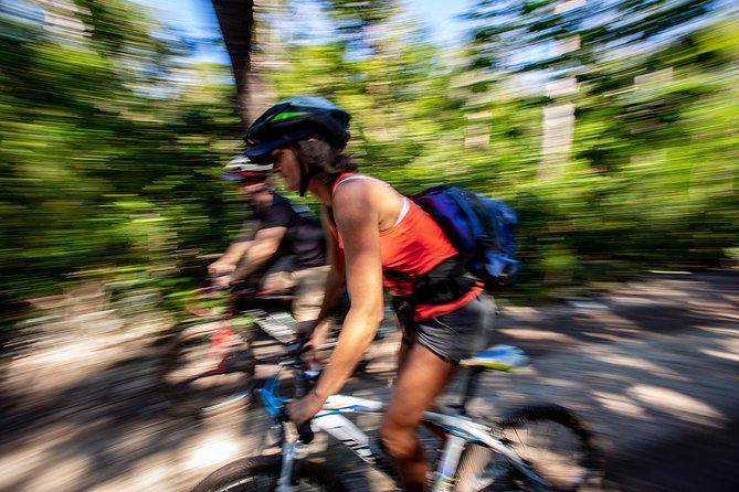 Cenotes trail jungle bike tour in Tulum with lunch - A jungle lunch with local flavor