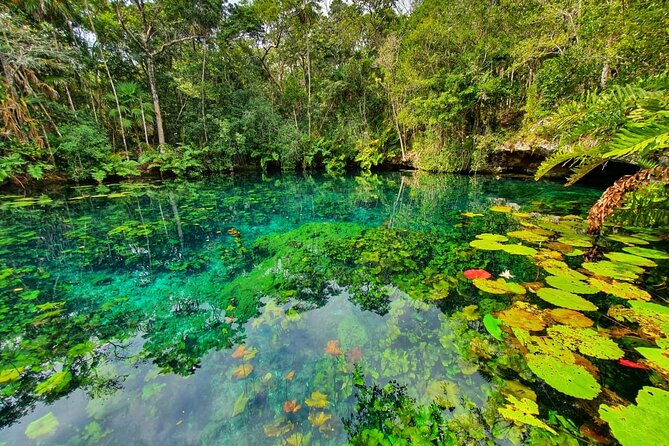 Cenotes trail jungle bike tour in Tulum with lunch - Is the $119 price good value?