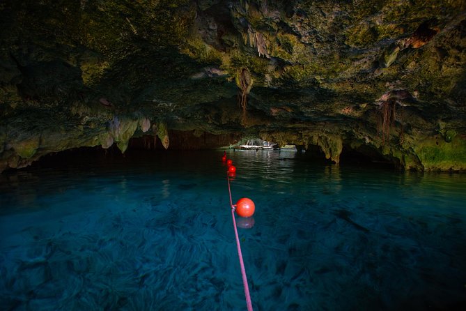 Cenotes trail jungle bike tour in Tulum with lunch - Choosing between two cenotes and three